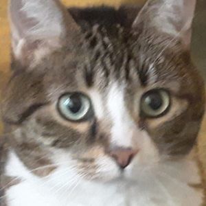 Meet your Posher, Paulette